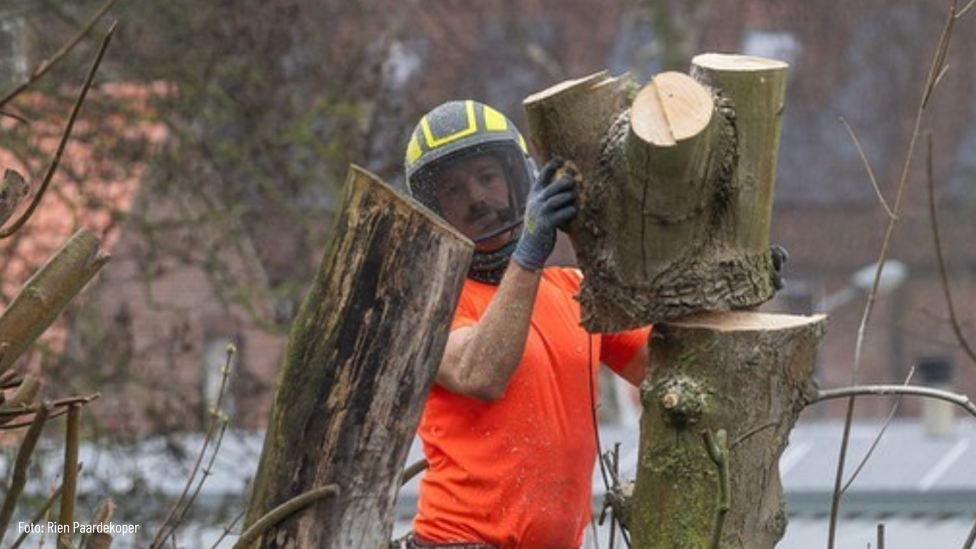 Foto Rien Paardekoper